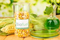Bontnewydd biofuel availability