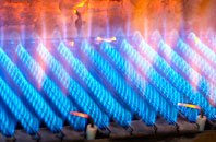 Bontnewydd gas fired boilers